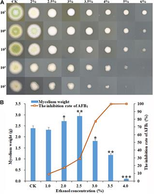 Ethanol Inhibits Aflatoxin B1 Biosynthesis in Aspergillus flavus by Up-Regulating Oxidative Stress-Related Genes